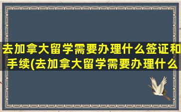 去加拿大留学需要办理什么签证和手续(去加拿大留学需要办理什么签证和手续)