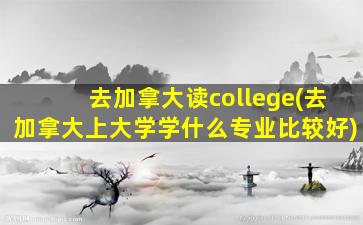 去加拿大读college(去加拿大上大学学什么专业比较好)