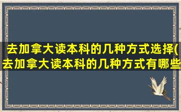 去加拿大读本科的几种方式选择(去加拿大读本科的几种方式有哪些)