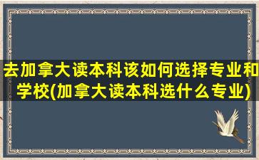 去加拿大读本科该如何选择专业和学校(加拿大读本科选什么专业)