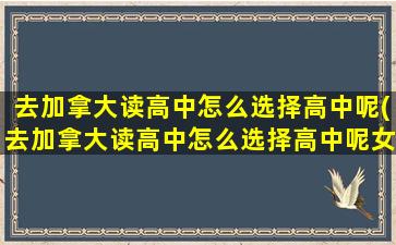 去加拿大读高中怎么选择高中呢(去加拿大读高中怎么选择高中呢女生)