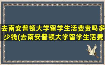 去南安普顿大学留学生活费贵吗多少钱(去南安普顿大学留学生活费贵吗)