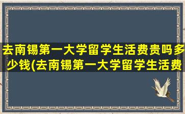 去南锡第一大学留学生活费贵吗多少钱(去南锡第一大学留学生活费贵吗)