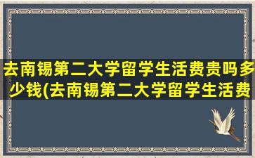 去南锡第二大学留学生活费贵吗多少钱(去南锡第二大学留学生活费贵吗)