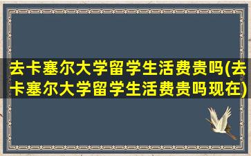 去卡塞尔大学留学生活费贵吗(去卡塞尔大学留学生活费贵吗现在)