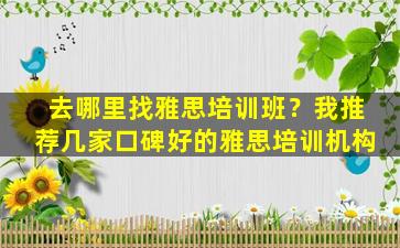 去哪里找雅思培训班？我推荐几家口碑好的雅思培训机构