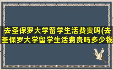 去圣保罗大学留学生活费贵吗(去圣保罗大学留学生活费贵吗多少钱)