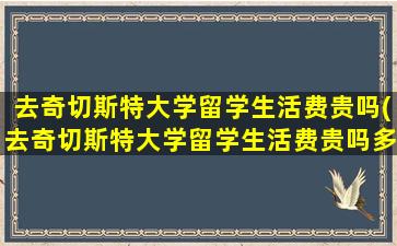 去奇切斯特大学留学生活费贵吗(去奇切斯特大学留学生活费贵吗多少钱)