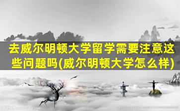 去威尔明顿大学留学需要注意这些问题吗(威尔明顿大学怎么样)