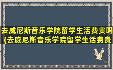 去威尼斯音乐学院留学生活费贵吗(去威尼斯音乐学院留学生活费贵吗多少钱)