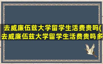 去威廉伍兹大学留学生活费贵吗(去威廉伍兹大学留学生活费贵吗多少钱)