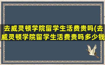 去威灵顿学院留学生活费贵吗(去威灵顿学院留学生活费贵吗多少钱)