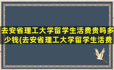 去安省理工大学留学生活费贵吗多少钱(去安省理工大学留学生活费贵吗)