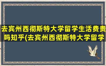 去宾州西彻斯特大学留学生活费贵吗知乎(去宾州西彻斯特大学留学生活费贵吗多少钱)