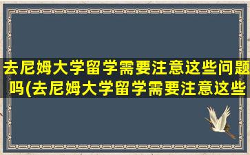 去尼姆大学留学需要注意这些问题吗(去尼姆大学留学需要注意这些问题的英文)