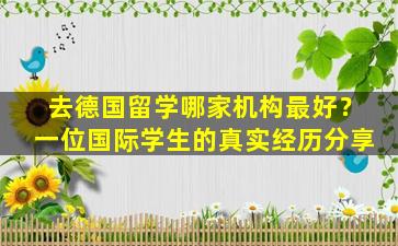 去德国留学哪家机构最好？一位国际学生的真实经历分享