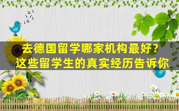 去德国留学哪家机构最好？这些留学生的真实经历告诉你