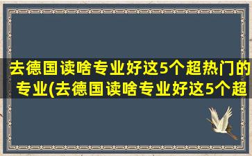 去德国读啥专业好这5个超热门的专业(去德国读啥专业好这5个超热门的学校)