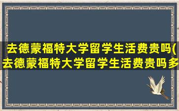 去德蒙福特大学留学生活费贵吗(去德蒙福特大学留学生活费贵吗多少钱)