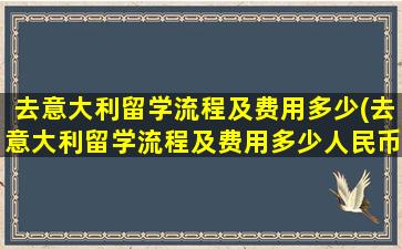 去意大利留学流程及费用多少(去意大利留学流程及费用多少人民币)