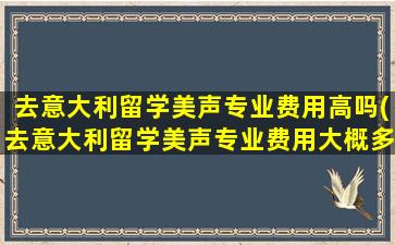 去意大利留学美声专业费用高吗(去意大利留学美声专业费用大概多少)