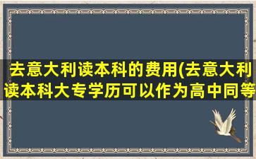 去意大利读本科的费用(去意大利读本科大专学历可以作为高中同等学力证明吗)