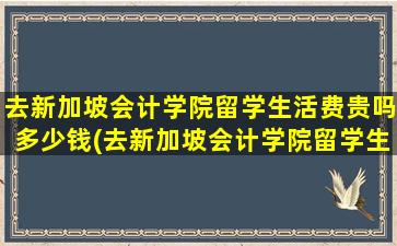 去新加坡会计学院留学生活费贵吗多少钱(去新加坡会计学院留学生活费贵吗)