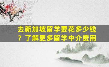 去新加坡留学要花多少钱？了解更多留学中介费用