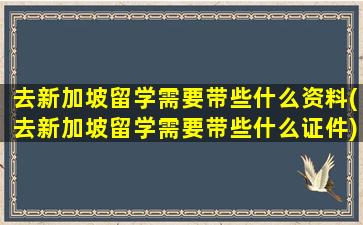 去新加坡留学需要带些什么资料(去新加坡留学需要带些什么证件)