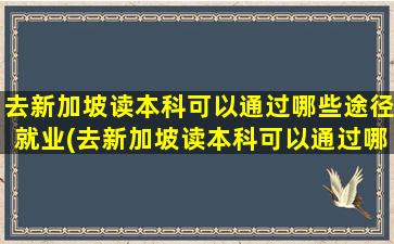 去新加坡读本科可以通过哪些途径就业(去新加坡读本科可以通过哪些途径申请)