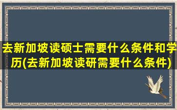 去新加坡读硕士需要什么条件和学历(去新加坡读研需要什么条件)