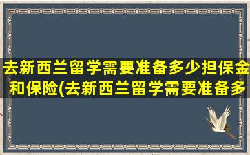 去新西兰留学需要准备多少担保金和保险(去新西兰留学需要准备多少担保金才能入籍)