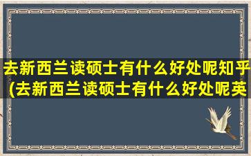 去新西兰读硕士有什么好处呢知乎(去新西兰读硕士有什么好处呢英语)