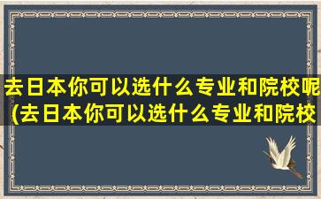 去日本你可以选什么专业和院校呢(去日本你可以选什么专业和院校有关)