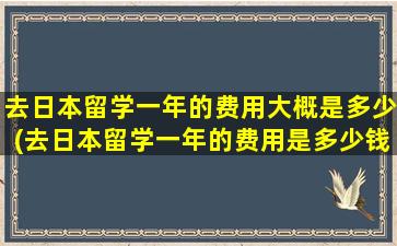 去日本留学一年的费用大概是多少(去日本留学一年的费用是多少钱)