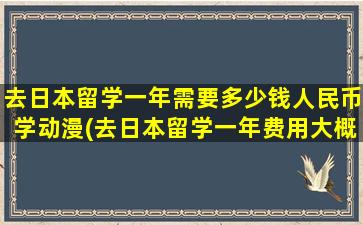 去日本留学一年需要多少钱人民币学动漫(去日本留学一年费用大概多少钱)