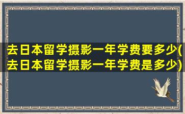 去日本留学摄影一年学费要多少(去日本留学摄影一年学费是多少)