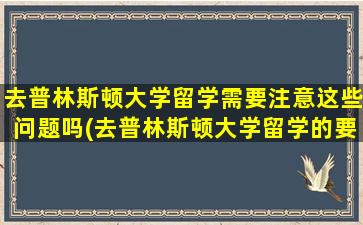 去普林斯顿大学留学需要注意这些问题吗(去普林斯顿大学留学的要求)