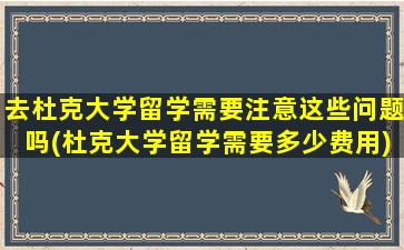 去杜克大学留学需要注意这些问题吗(杜克大学留学需要多少费用)