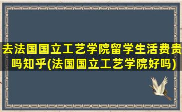 去法国国立工艺学院留学生活费贵吗知乎(法国国立工艺学院好吗)