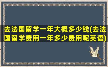 去法国留学一年大概多少钱(去法国留学费用一年多少费用呢英语)