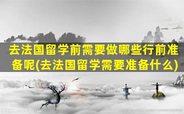 去法国留学前需要做哪些行前准备呢(去法国留学需要准备什么)