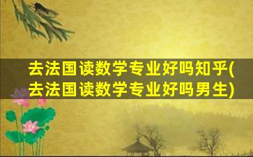 去法国读数学专业好吗知乎(去法国读数学专业好吗男生)