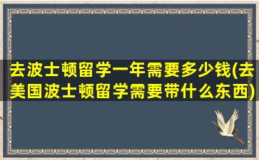 去波士顿留学一年需要多少钱(去美国波士顿留学需要带什么东西)