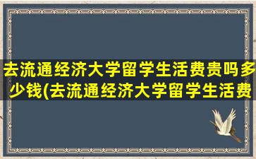 去流通经济大学留学生活费贵吗多少钱(去流通经济大学留学生活费贵吗现在)