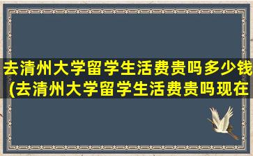 去清州大学留学生活费贵吗多少钱(去清州大学留学生活费贵吗现在)