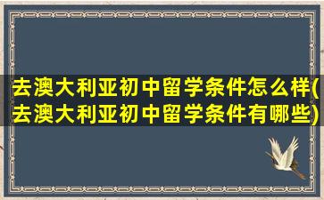 去澳大利亚初中留学条件怎么样(去澳大利亚初中留学条件有哪些)