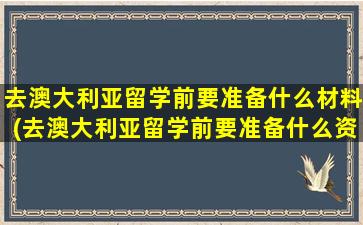 去澳大利亚留学前要准备什么材料(去澳大利亚留学前要准备什么资料)