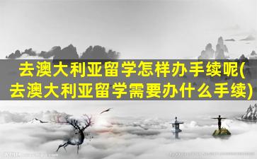 去澳大利亚留学怎样办手续呢(去澳大利亚留学需要办什么手续)