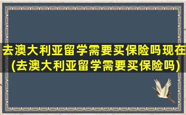 去澳大利亚留学需要买保险吗现在(去澳大利亚留学需要买保险吗)